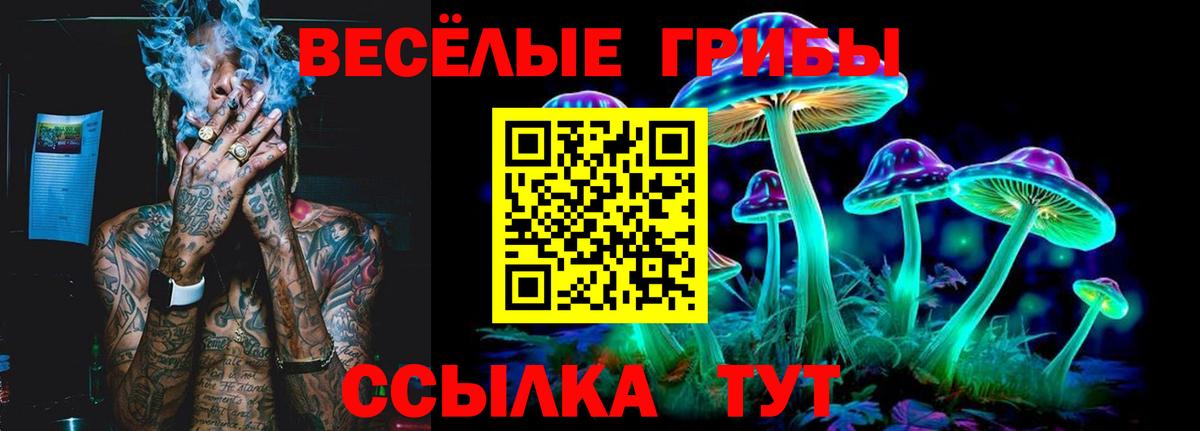 Псилоцибиновые грибы Cubensis  Вход с VPN  Свободный 